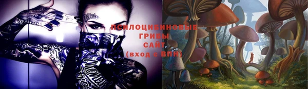 ешки Нягань