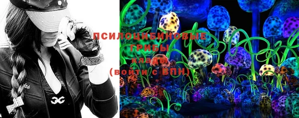 ALPHA PVP Няндома