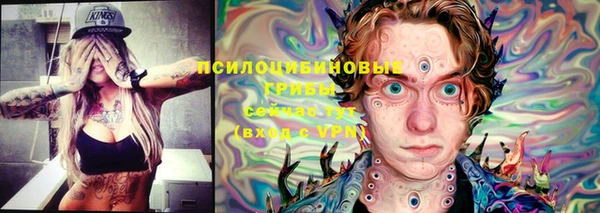 ешки Нягань