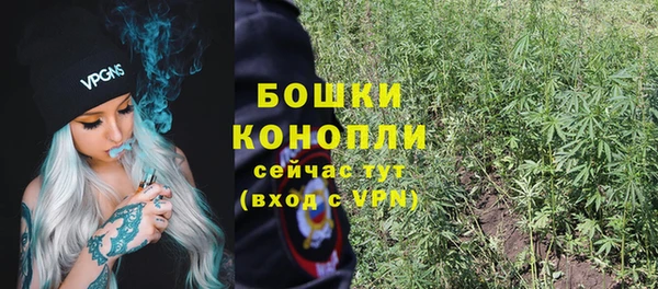ALPHA PVP Няндома