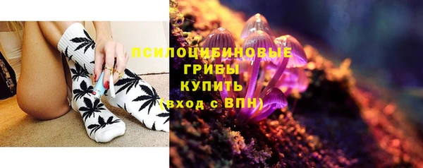 ГАЛЛЮЦИНОГЕННЫЕ ГРИБЫ Куйбышев