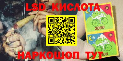гашик Гай
