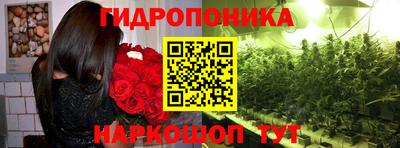 гашик Гай
