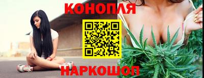 гашик Гай