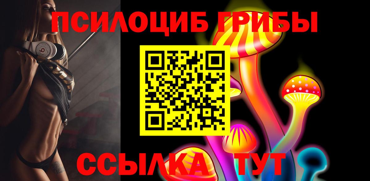 Галлюциногенные грибы Cubensis  Гурьевск 