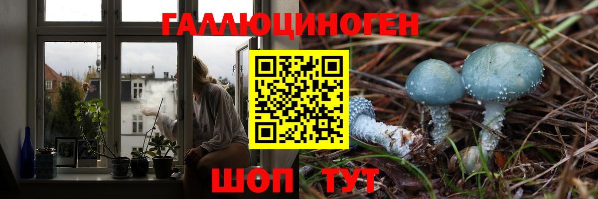 Гурьевск  Псилоцибиновые грибы Psilocybine cubensis  Вход с VPN  даркнет сайт  Галлюциногенные грибы ЛСД 