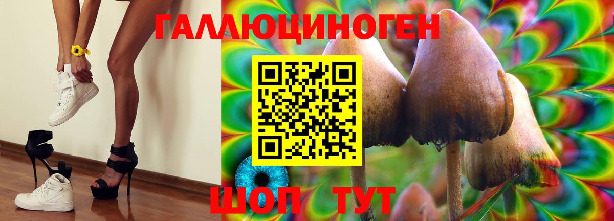Галлюциногенные грибы Magic Shrooms Гурьевск