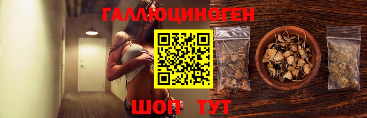 Псилоцибиновые грибы MAGIC MUSHROOMS Гурьевск