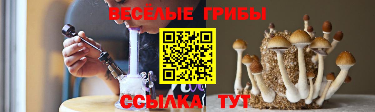 Кокаин Гурьевск
